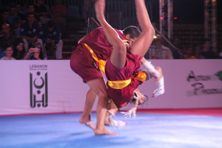 Martial Arts Festival